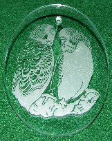Click for larger photo of Budgies Etched in Glass