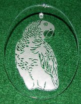 Click for larger photo of the African Grey Etched in Glass